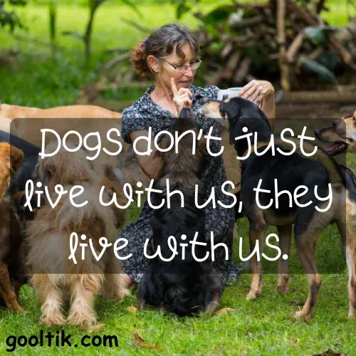 Every Dog Lover Will Enjoy