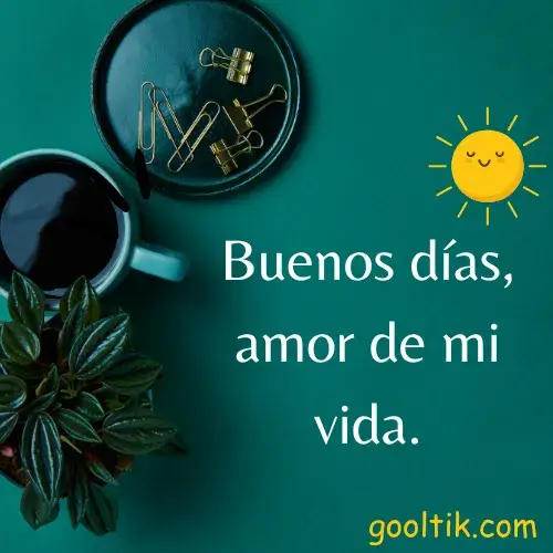 Good Morning Love Quotes