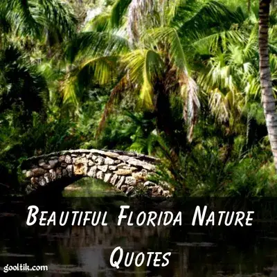 Beautiful Florida Nature Quotes