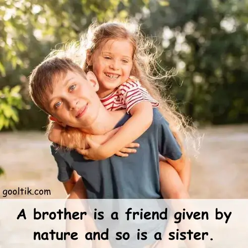 Best Brother and Sister Quotes and Captions