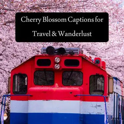 Cherry Blossom Captions for Travel & Wanderlust