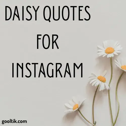Daisy Quotes for Instagram