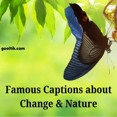 Famous Captions about Change & Nature
