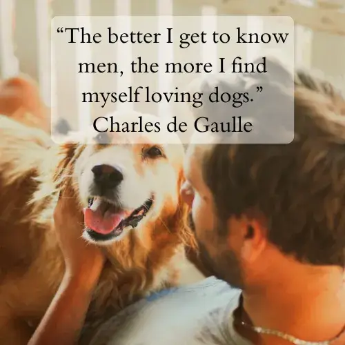Famous Quotes About Dogs