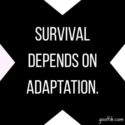 Fortnite Life Lessons Quotes About Growth, Survival and Success