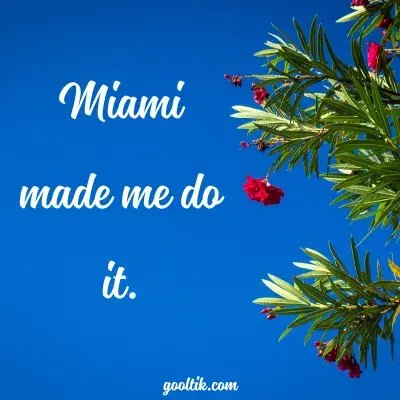 Funny Miami Instagram Captions & Quotes