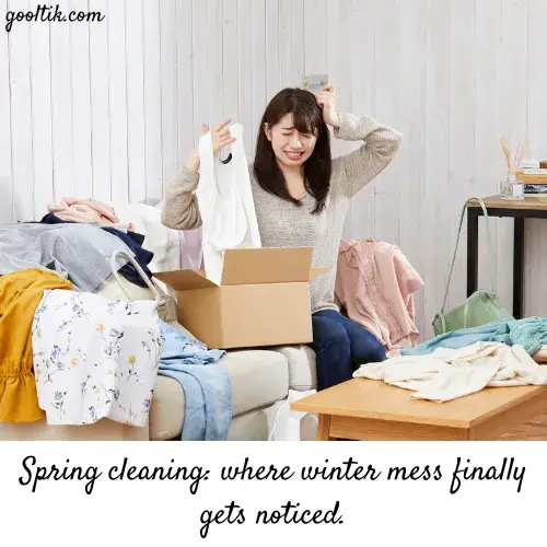 Funny Quotes About Spring Cleaning