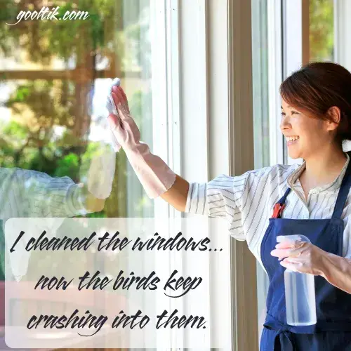 Humorous Quotes About Window Cleaning