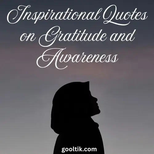 Inspirational Quotes on Gratitude and Awareness