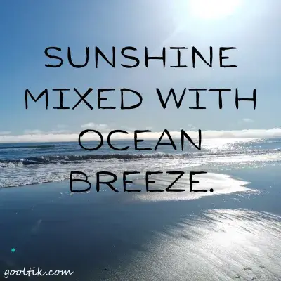 Miami Beach Instagram Captions for Sunny Days