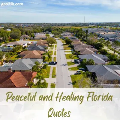 Peaceful and Healing Florida Quotes
