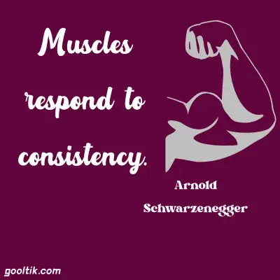 Quotes for Strength & Muscle Building