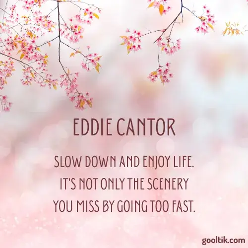 Quotes That Remind Us to Slow Down