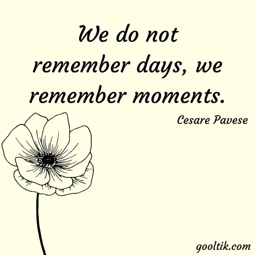 Reflective Good Afternoon Sunday Quotes