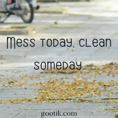 Short and Funny Quotes About House Cleaning