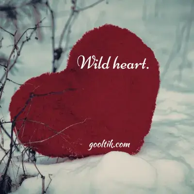 Short Koe Wetzel Captions