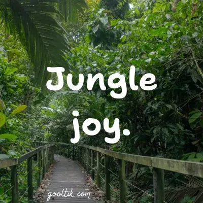 Short & Sweet Costa Rica Instagram Captions