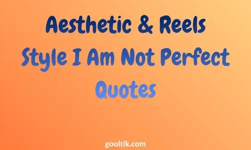 Aesthetic & Reels Style I Am Not Perfect Quotes