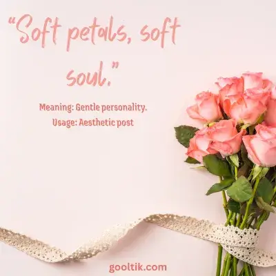 Aesthetic Rose Captions