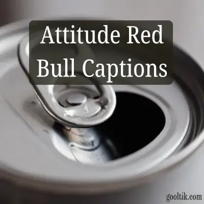 Attitude Red Bull Captions