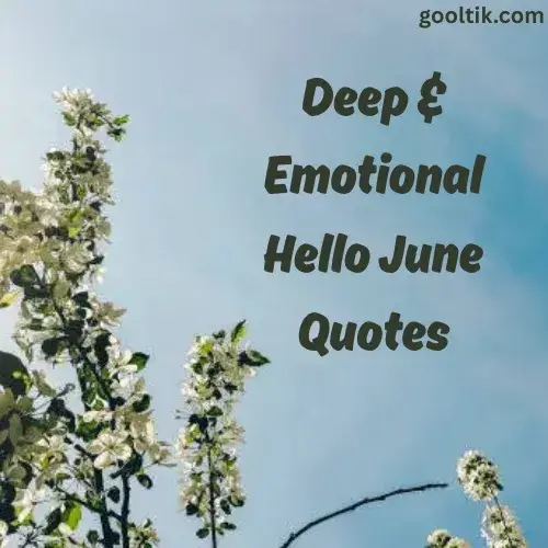 Deep & Emotional Hello June Quotes