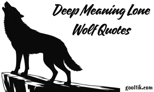 Deep Meaning Lone Wolf Quotes