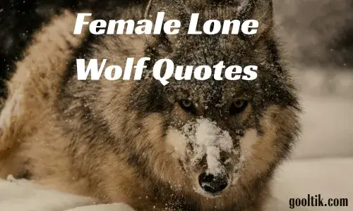 Female Lone Wolf Quotes