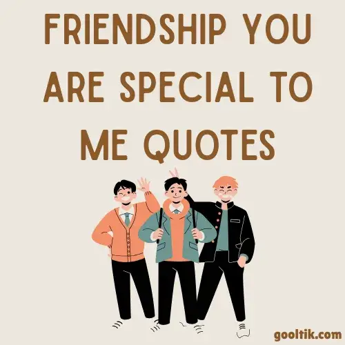 Friendship You Are Special to Me Quotes