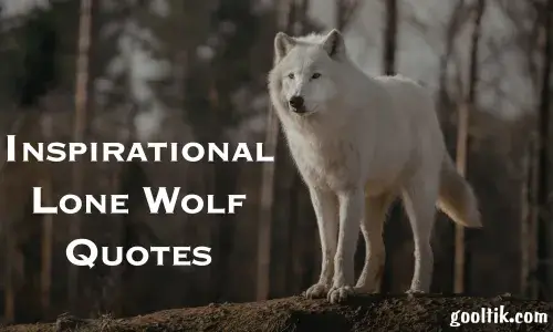 Inspirational Lone Wolf Quotes