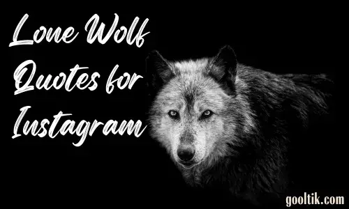 Lone Wolf Quotes for Instagram