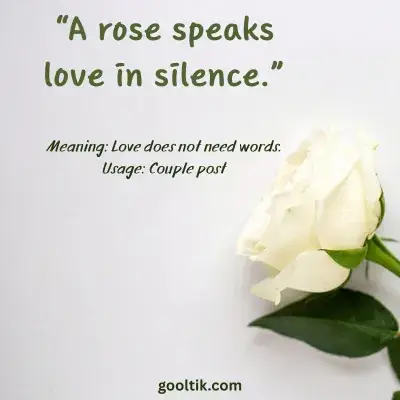 Romantic Rose Captions