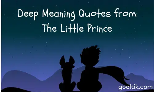 Deep Meaning Quotes from The Little Prince