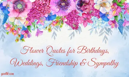 Flower Quotes for Birthdays, Weddings, Friendship & Sympathy