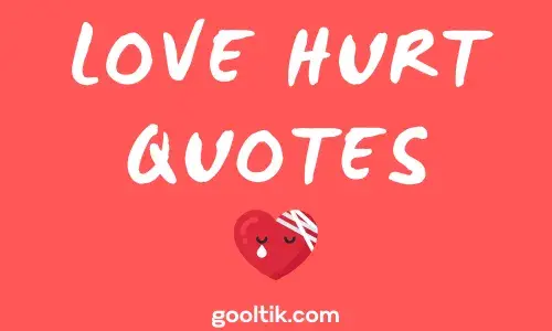 LOVE HURT QUOTES