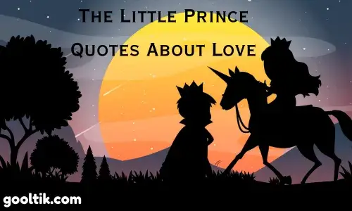 The Little Prince Quotes About Love