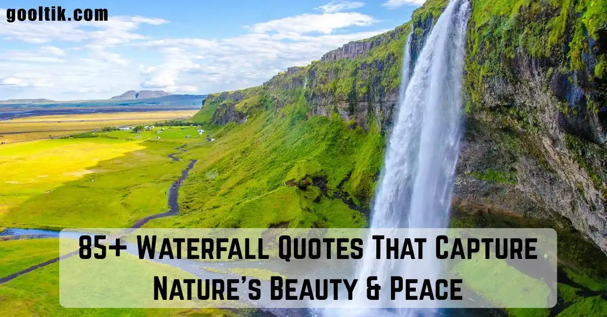 85+ Waterfall Quotes That Capture Nature’s Beauty & Peace