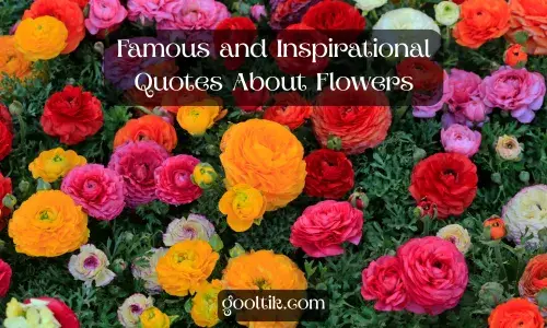 Famous and Inspirational Quotes About Flowers
