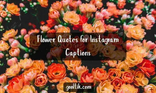 Flower Quotes for Instagram Captions