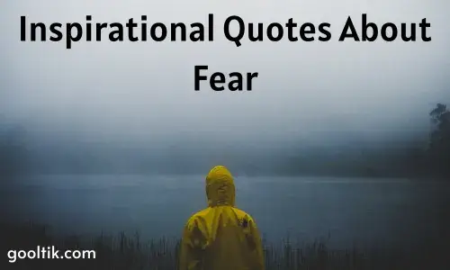 Inspirational Quotes About Fear