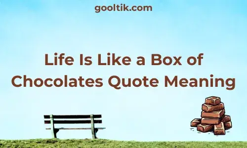 Life Is Like a Box of Chocolates Quote Meaning