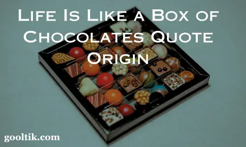 Life Is Like a Box of Chocolates Quote Origin