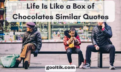 Life Is Like a Box of Chocolates Similar Quotes