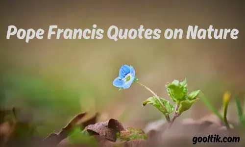 Pope Francis Quotes on Nature
